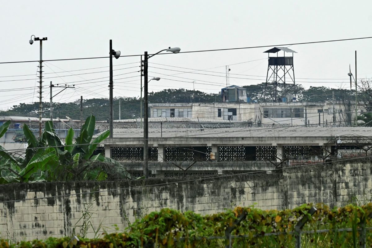 Post Image