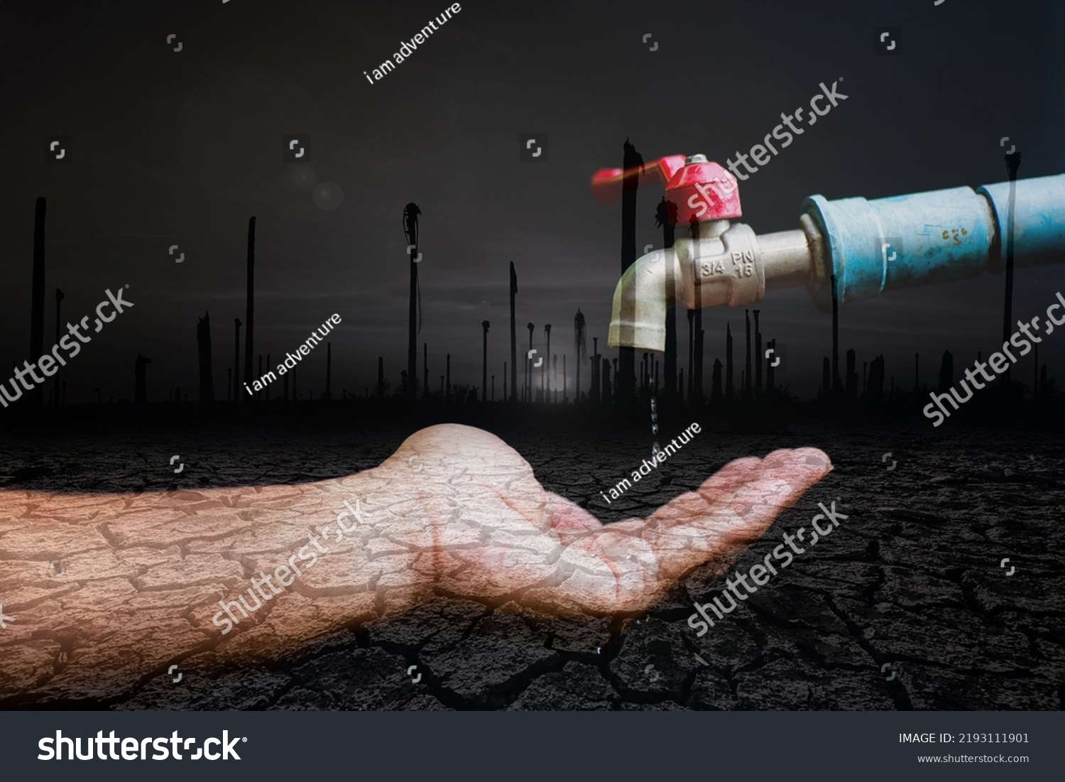 Post Image