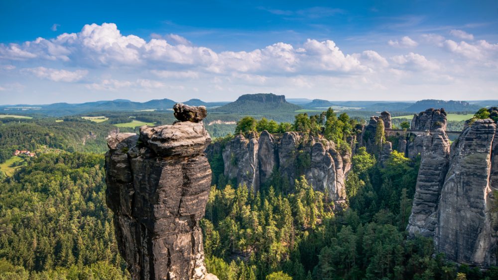 000 Neue Bäume: Ein Bedeutender Beitrag Zum Naturschutz Im Nationalpark Sächsische Schweiz 000 Neue Bäume: Ein Bedeutender Beitrag Zum Naturschutz Im Nationalpark Sächsische Schweiz