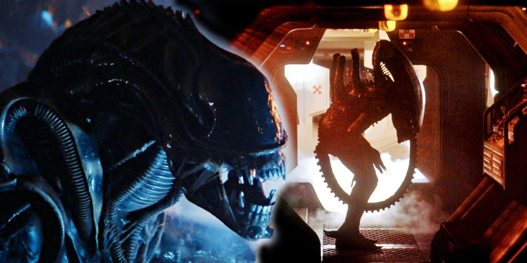 13 Years Later: Assessing Ridley Scott's Impact On The Alien Universe 13 Years Later: Assessing Ridley Scott's Impact On The Alien Universe