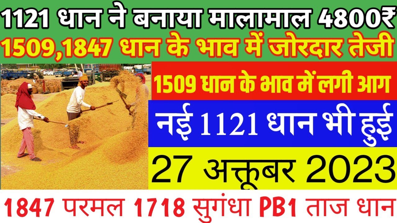 सेंसेक्स में 1509 अंकों की उछाल: निवेशकों की जेब में ₹4.5 लाख करोड़ सेंसेक्स में 1509 अंकों की उछाल: निवेशकों की जेब में ₹4.5 लाख करोड़