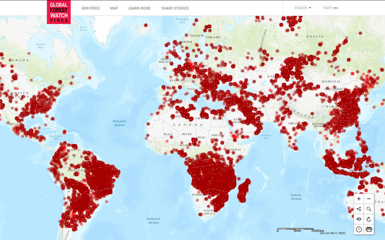 2023 Forest Loss: Wildfires Push Global Deforestation To Record Highs 2023 Forest Loss: Wildfires Push Global Deforestation To Record Highs