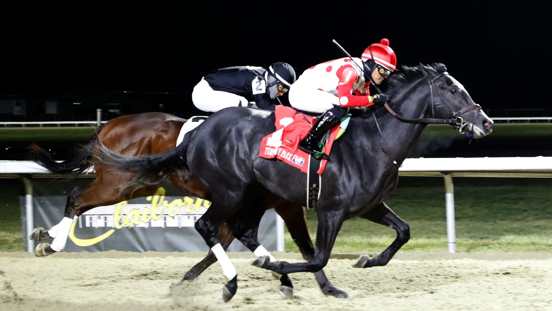 2025 Kentucky Derby: Chunk Of Gold's Profile And Betting Odds