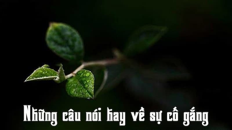 500kV Mạch 3:  Câu Chuyện Về Sự Nỗ Lực Của Công Nhân Điện Lực Miền Nam