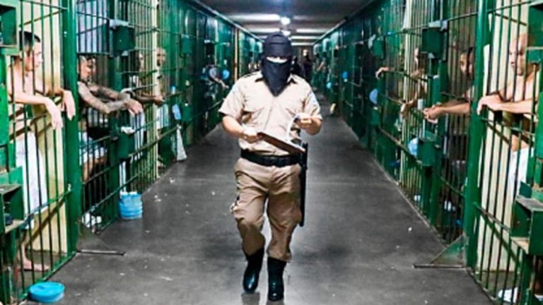 7 Vehículos Nuevos Fortalecen La Operatividad Del Sistema Penitenciario 7 Vehículos Nuevos Fortalecen La Operatividad Del Sistema Penitenciario