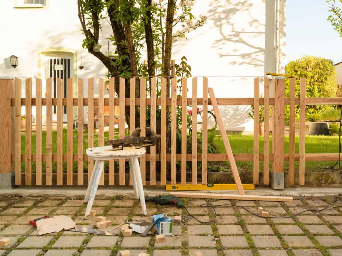 A Beginner's Guide To Building A Living Fence A Beginner's Guide To Building A Living Fence