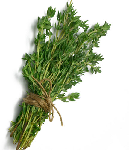 A Comparative Look At Rosemary & Thyme: Flavor Profiles And Culinary Uses A Comparative Look At Rosemary & Thyme: Flavor Profiles And Culinary Uses