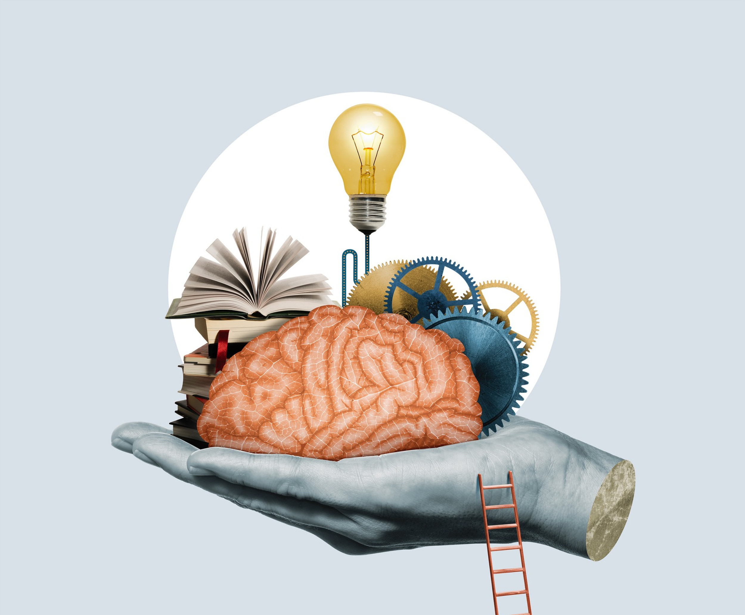 A Framework For Developing And Implementing Mental Health Literacy Education Initiatives A Framework For Developing And Implementing Mental Health Literacy Education Initiatives