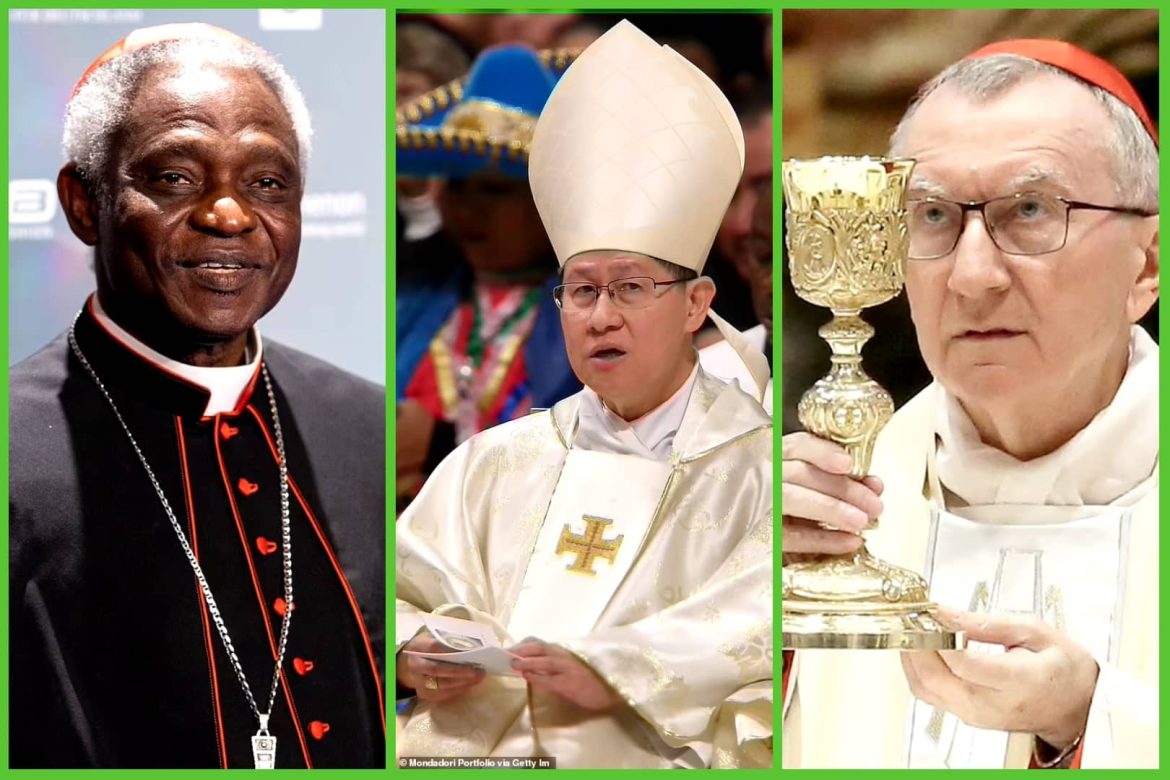 After Pope Francis: Nine Potential Successors And The Future Of The Catholic Church After Pope Francis: Nine Potential Successors And The Future Of The Catholic Church