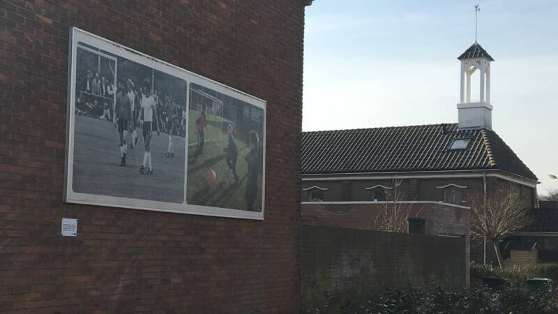 Ajax Trainerskwestie: Van Hanegems Aanbeveling Ajax Trainerskwestie: Van Hanegems Aanbeveling