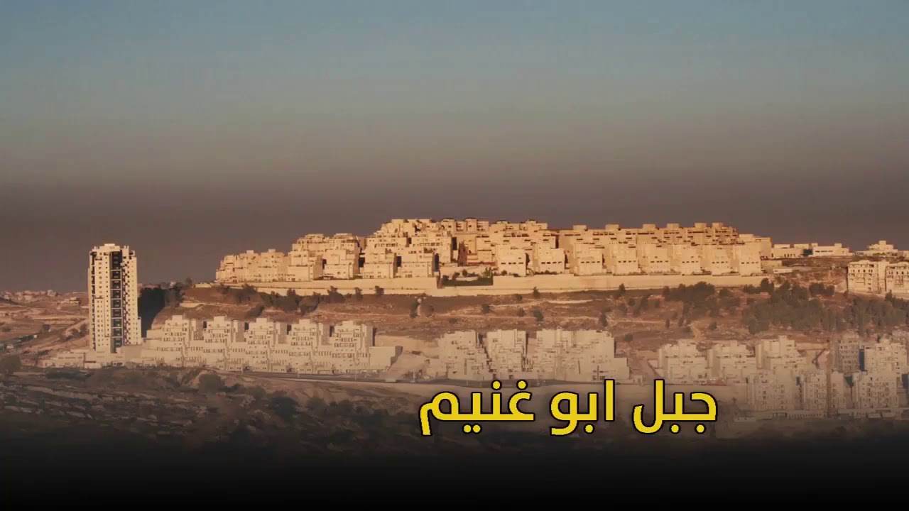الاستيطان في فلسطين: دراسة حالة لـ 13 حيًّا تحت التهديد
