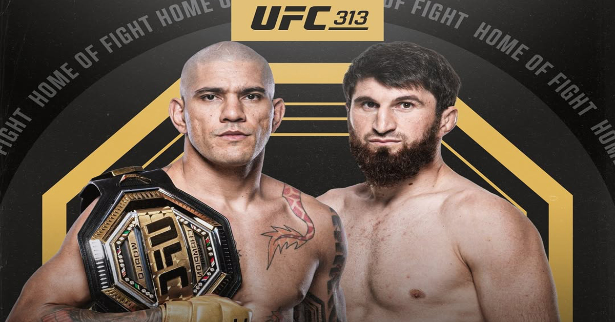 Alex Pereira Post-UFC 313: Reaction, Reflection, And What's Next Alex Pereira Post-UFC 313: Reaction, Reflection, And What's Next