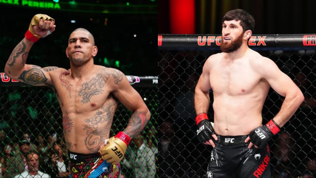 Alex Pereira Vs. Magomed Ankalaev: UFC 313 DFS Picks And Predictions Alex Pereira Vs. Magomed Ankalaev: UFC 313 DFS Picks And Predictions