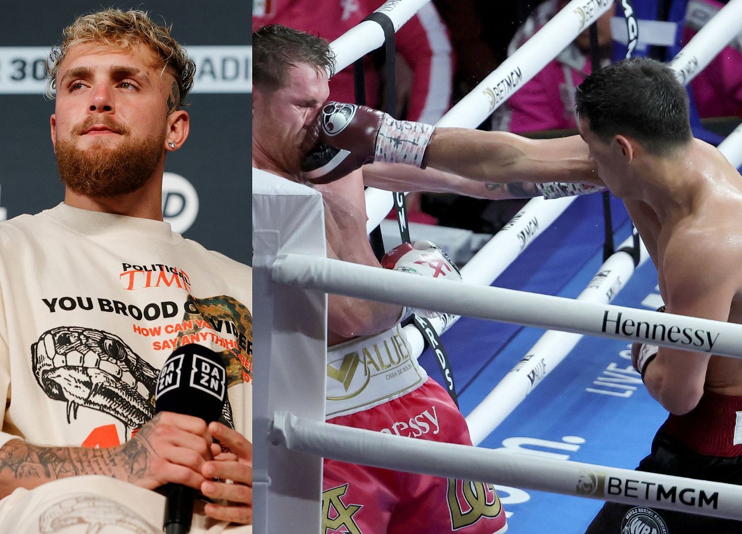 Alvarez Offers Concise Opinion On Jake Paul And Boxing Rivals Alvarez Offers Concise Opinion On Jake Paul And Boxing Rivals