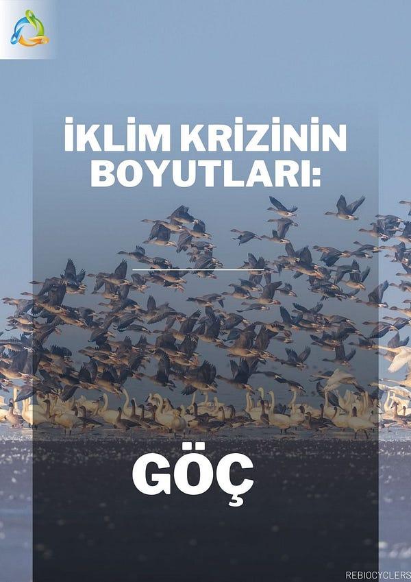 Anadolu Ajansı: Gazze'deki Kanalizasyon Krizinin Boyutları Anadolu Ajansı: Gazze'deki Kanalizasyon Krizinin Boyutları
