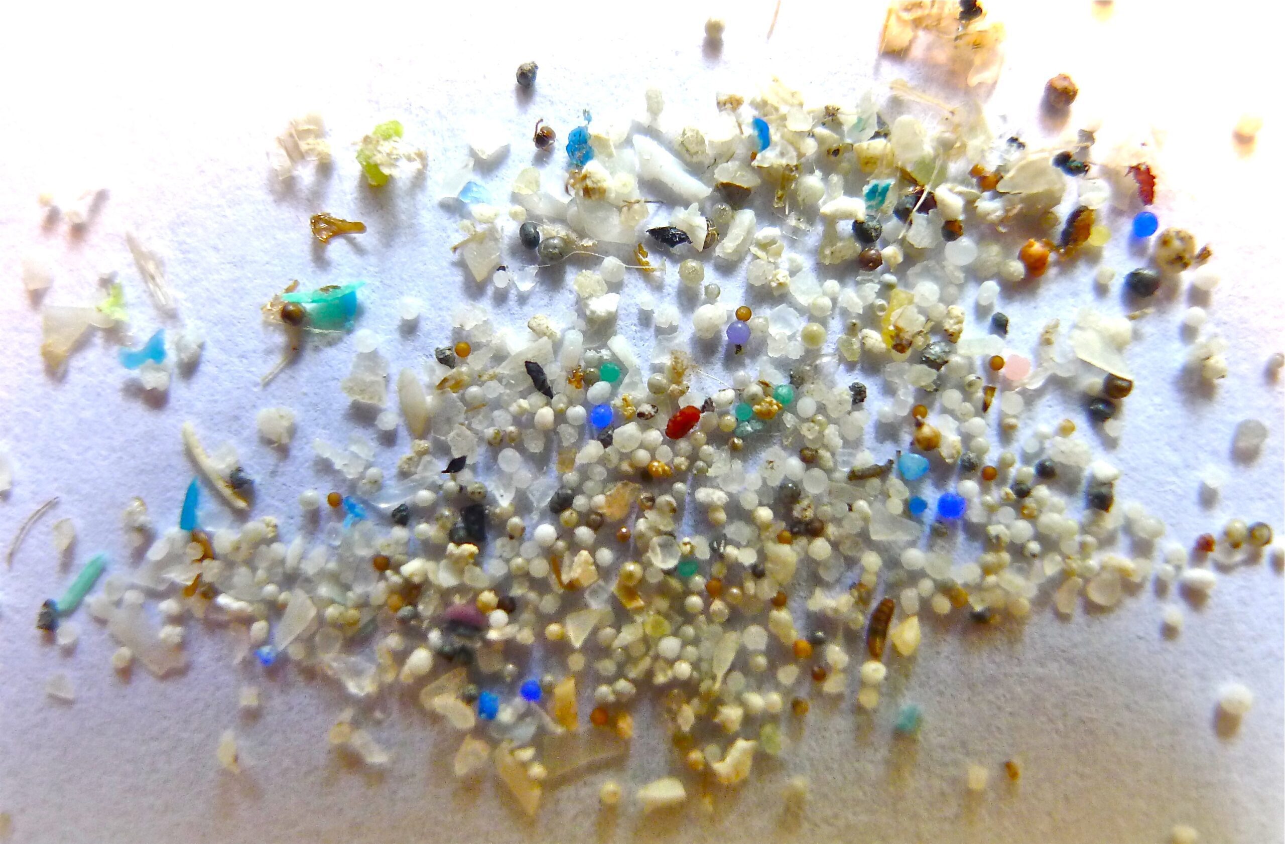 Analisi Della Contaminazione Da Microplastiche Nelle Diverse Acque Analisi Della Contaminazione Da Microplastiche Nelle Diverse Acque