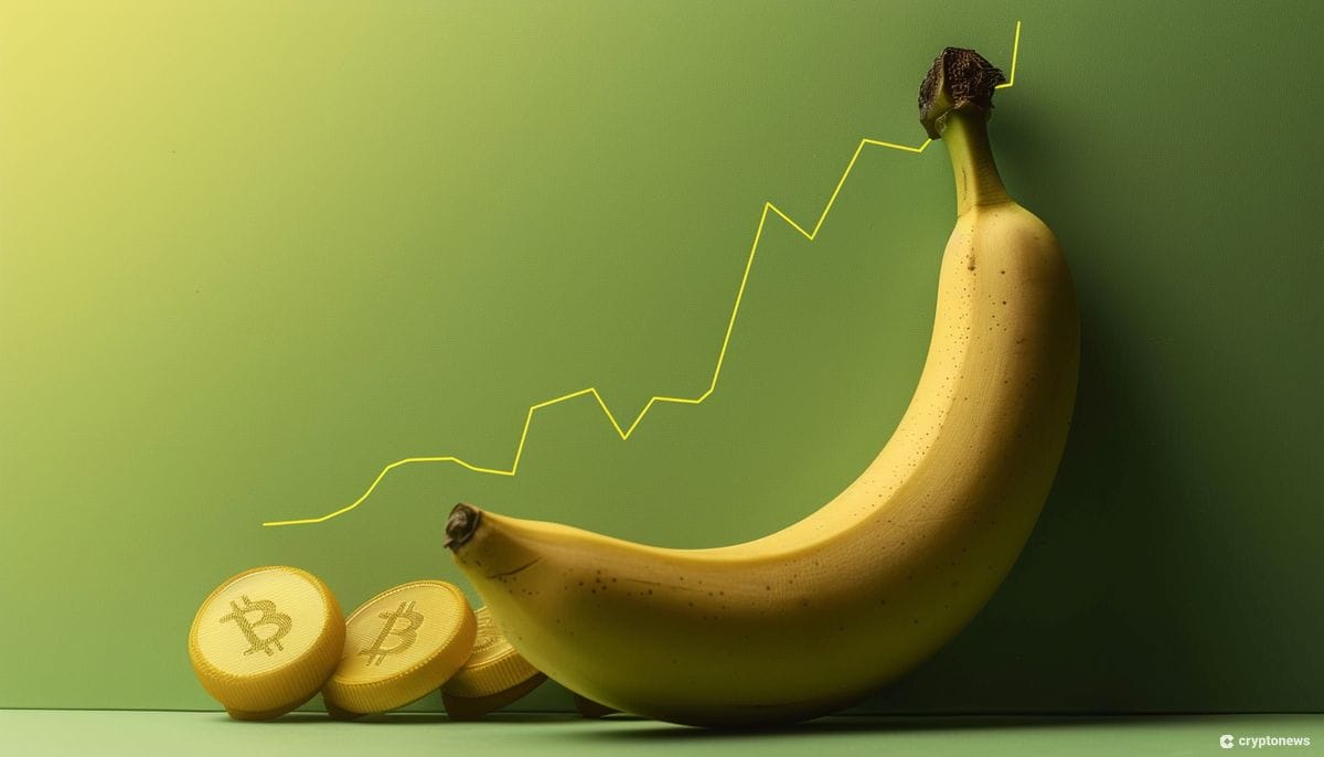 Analyst Sees Bitcoin Entering Rally Zone: Chart Interpretation (06/05/2024) Analyst Sees Bitcoin Entering Rally Zone: Chart Interpretation (06/05/2024)