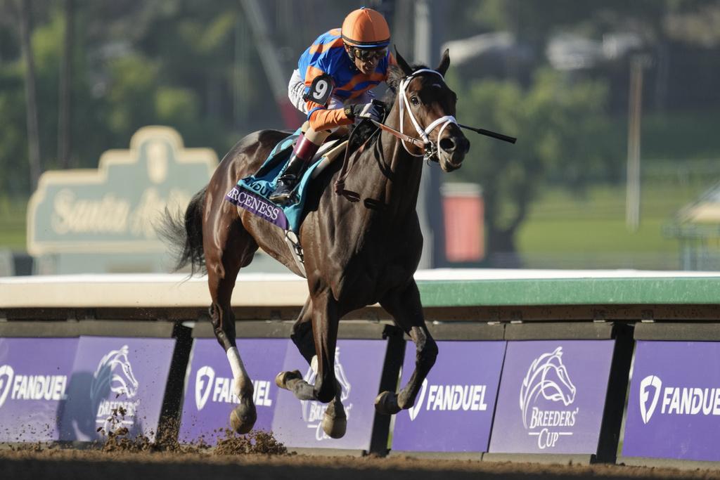 Analyzing The 2025 Tampa Bay Derby: Odds, Horses, And Kentucky Derby Predictions Analyzing The 2025 Tampa Bay Derby: Odds, Horses, And Kentucky Derby Predictions