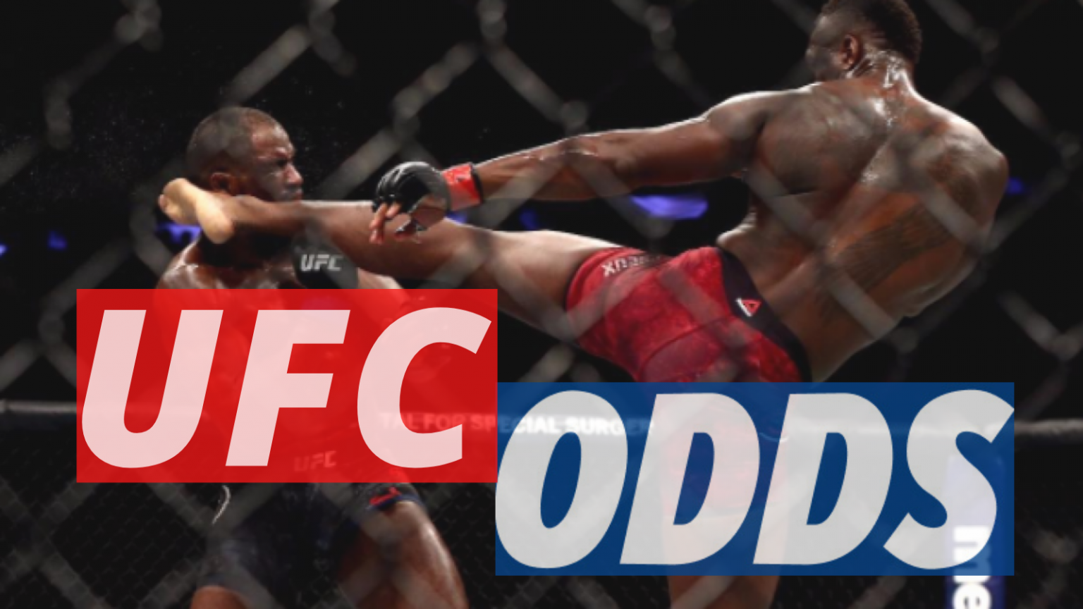 Analyzing The Opening Betting Odds For UFC 314 Analyzing The Opening Betting Odds For UFC 314