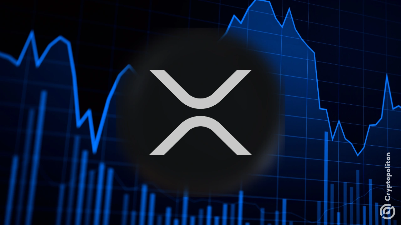Analyzing The Risks Of XRP ETFs: A Deep Dive Into Supply And Institutional Interest Analyzing The Risks Of XRP ETFs: A Deep Dive Into Supply And Institutional Interest