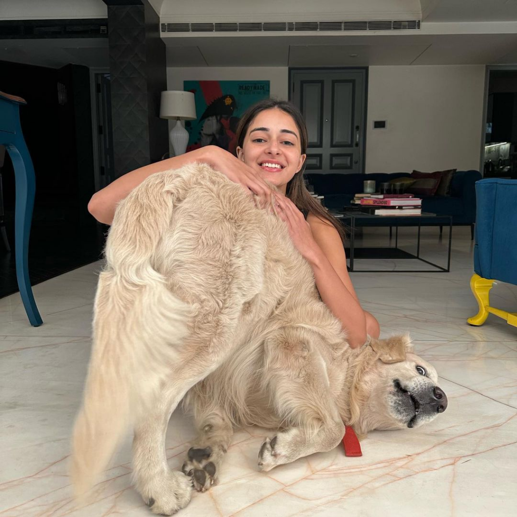 Ananya Panday's Adorable Pet Dog Riot Celebrates His First Birthday Ananya Panday's Adorable Pet Dog Riot Celebrates His First Birthday