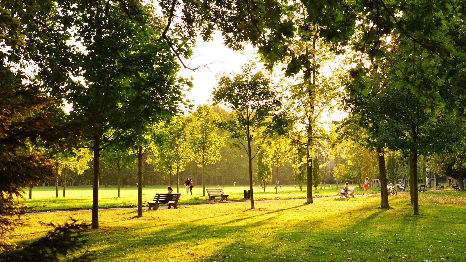 Au Roeulx : Eneco Lance Le Plus Grand Parc De Batteries De Belgique Au Roeulx : Eneco Lance Le Plus Grand Parc De Batteries De Belgique