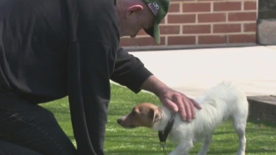 Authorities Remove 49 Dogs From Washington County Breeding Facility Authorities Remove 49 Dogs From Washington County Breeding Facility