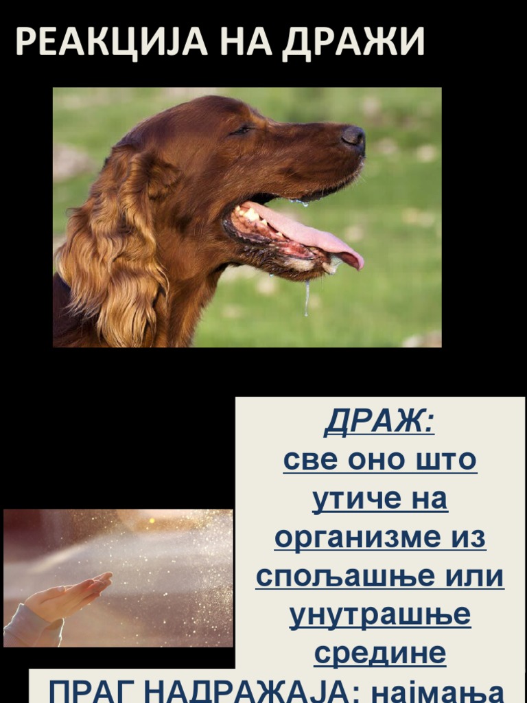 Јавно Мњење И Говор Мржње: Реакције На Изјаве Маринике Тепић О Ромима Јавно Мњење И Говор Мржње: Реакције На Изјаве Маринике Тепић О Ромима
