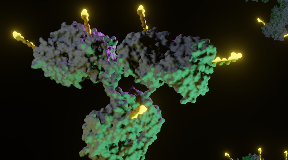 Bispecific Myeloid Cell Engager Technology: Sanofi's Latest Immunology Investment Bispecific Myeloid Cell Engager Technology: Sanofi's Latest Immunology Investment