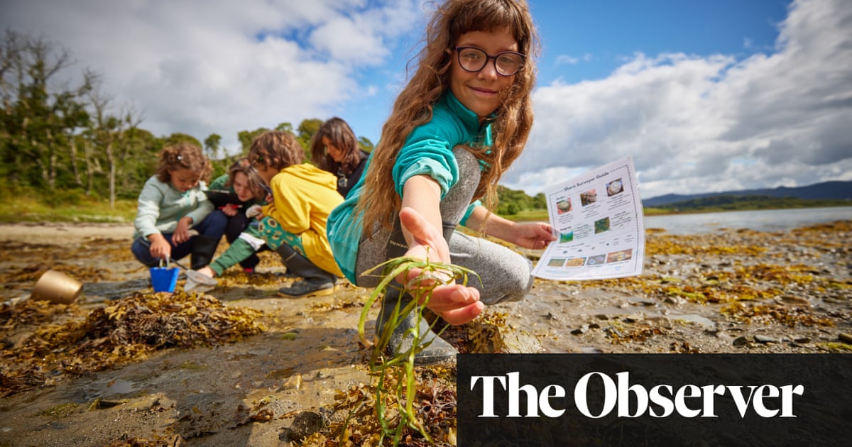 Boosting Scotland's Coastline: Seagrass Restoration Through Planting Bids Boosting Scotland's Coastline: Seagrass Restoration Through Planting Bids
