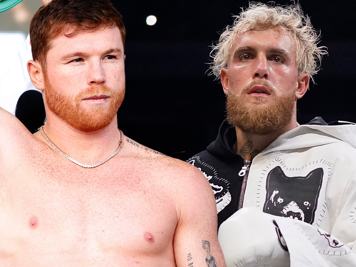 Boxing Champ Canelo Alvarez Gives Jake Paul Post-Engagement Advice Boxing Champ Canelo Alvarez Gives Jake Paul Post-Engagement Advice
