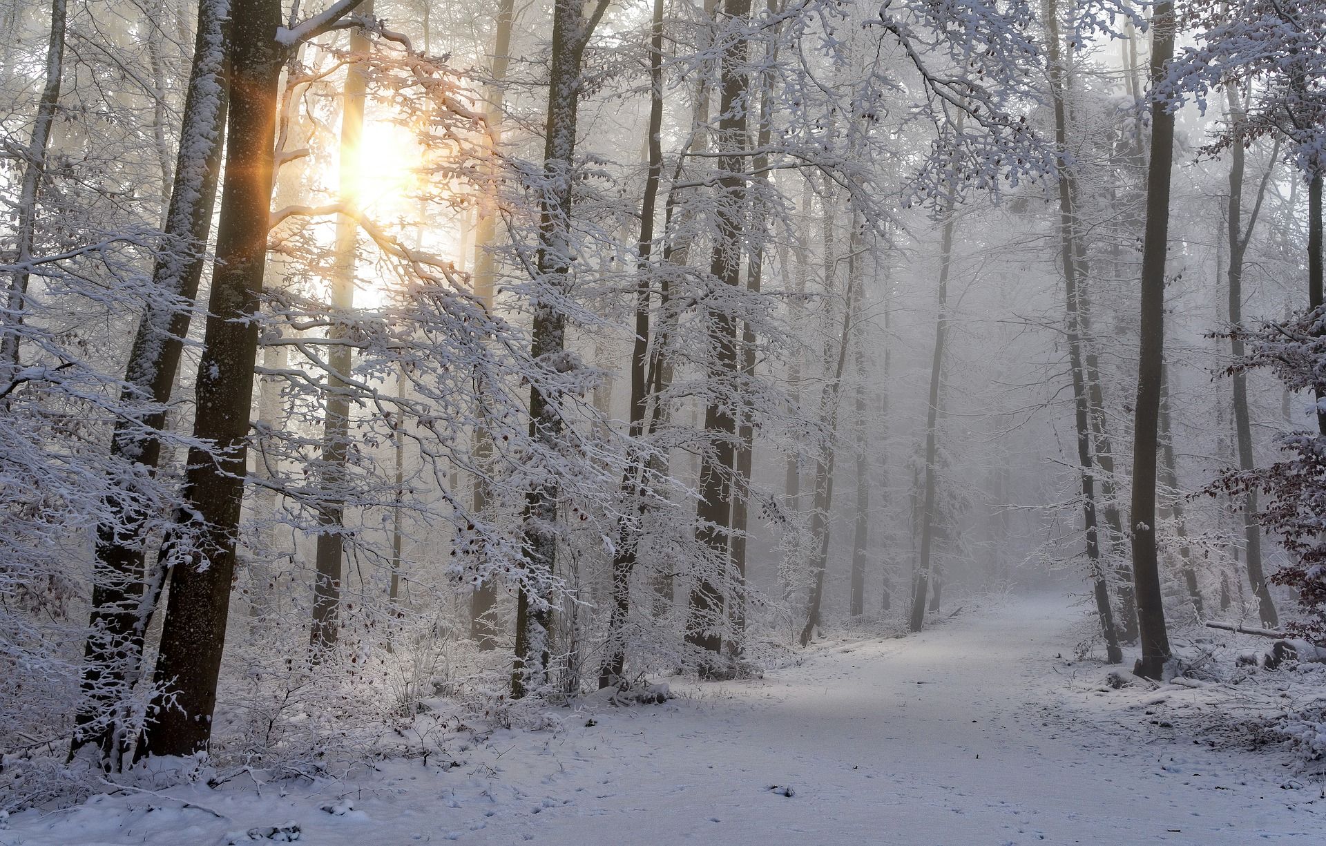 Brace For Impact: Four+ Inches Of Snow And Extreme Cold Coming Tuesday Brace For Impact: Four+ Inches Of Snow And Extreme Cold Coming Tuesday