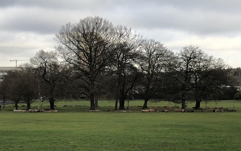 Brockwell Park Music Festivals Face Legal Challenge From Local Residents Brockwell Park Music Festivals Face Legal Challenge From Local Residents