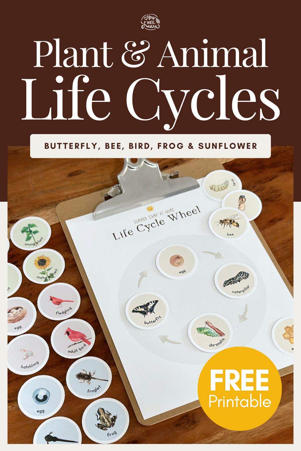 Campus Farms: A Practical Tool For Teaching Animal Life Cycles To Students Campus Farms: A Practical Tool For Teaching Animal Life Cycles To Students