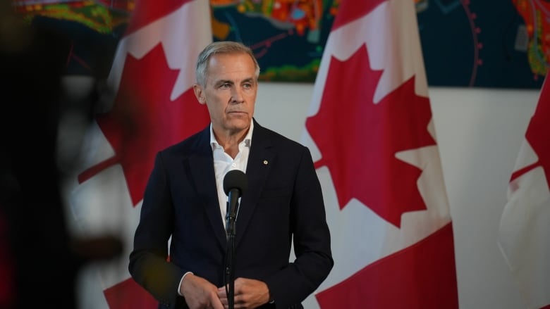 Canadian Federal Election 2024: Mark Carney's Liberal Victory