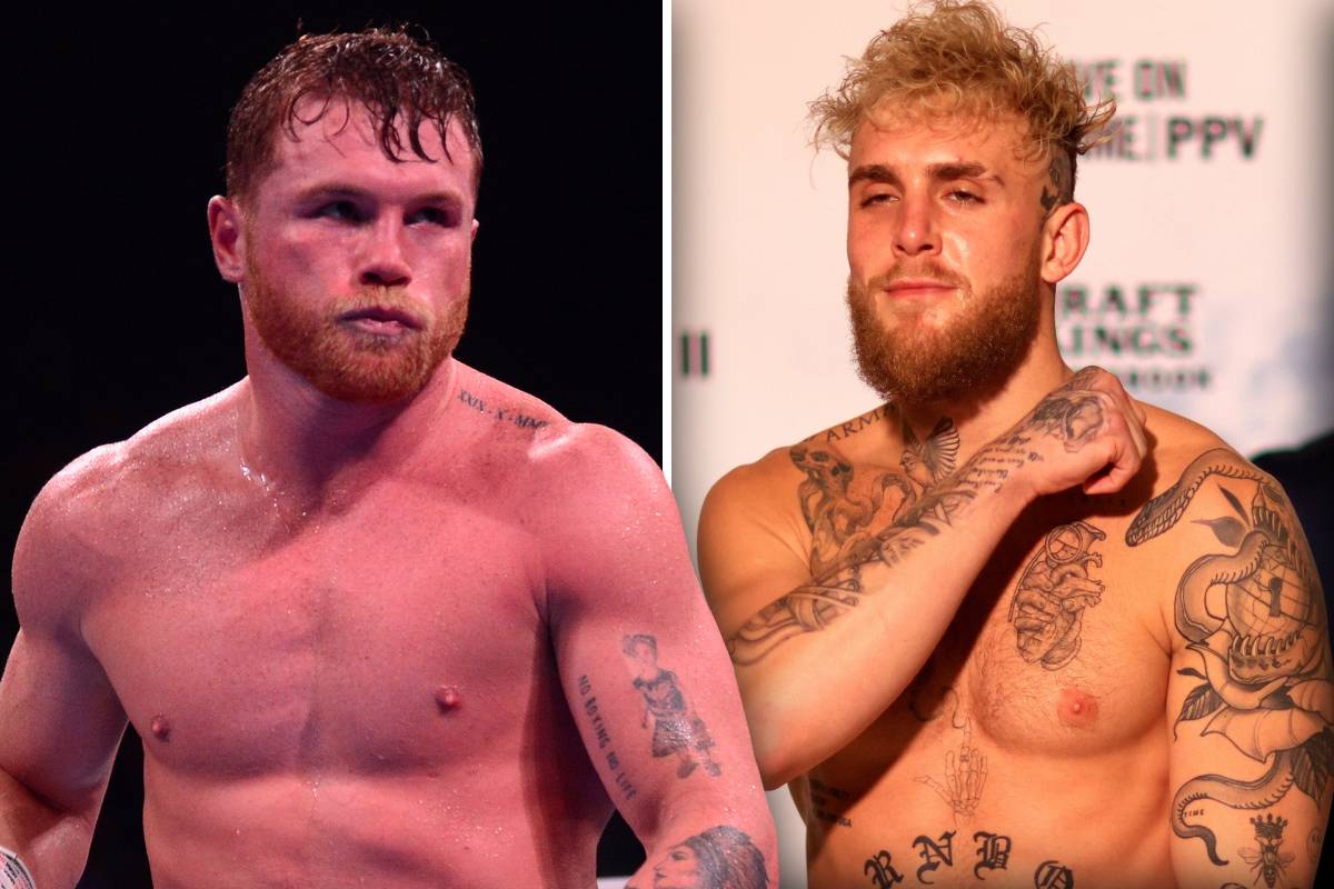 Canelo Alvarez's One-Word Verdict On Jake Paul And Other Boxers Canelo Alvarez's One-Word Verdict On Jake Paul And Other Boxers