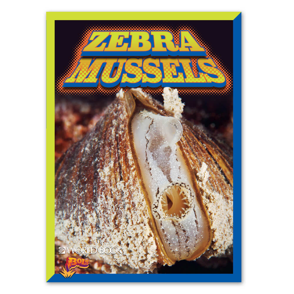 Casper Resident's Shocking Boat Lift Discovery: Thousands Of Zebra Mussels Casper Resident's Shocking Boat Lift Discovery: Thousands Of Zebra Mussels