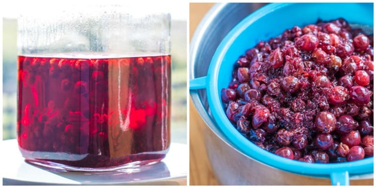Cassis Blackcurrant: Your Guide To Selection And Storage Cassis Blackcurrant: Your Guide To Selection And Storage