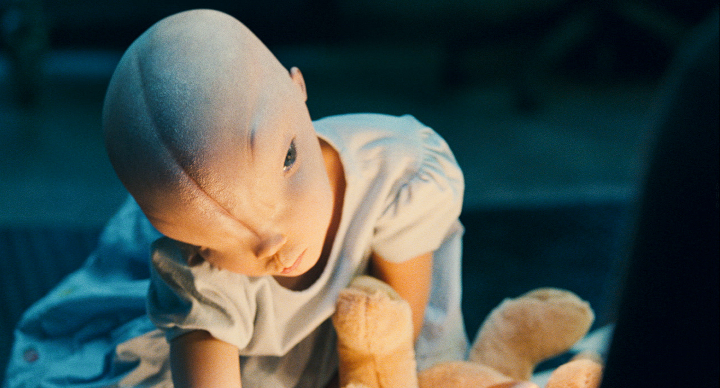 CayFest On Film: A Splice Spotlight