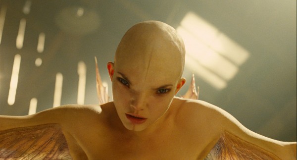 CayFest On Film: Splice - A Detailed Look CayFest On Film: Splice - A Detailed Look