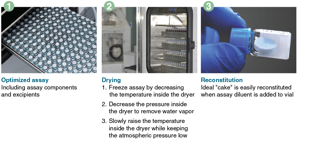 Challenges And Advancements In Automated Visual Inspection Of Lyophilized Vials Challenges And Advancements In Automated Visual Inspection Of Lyophilized Vials