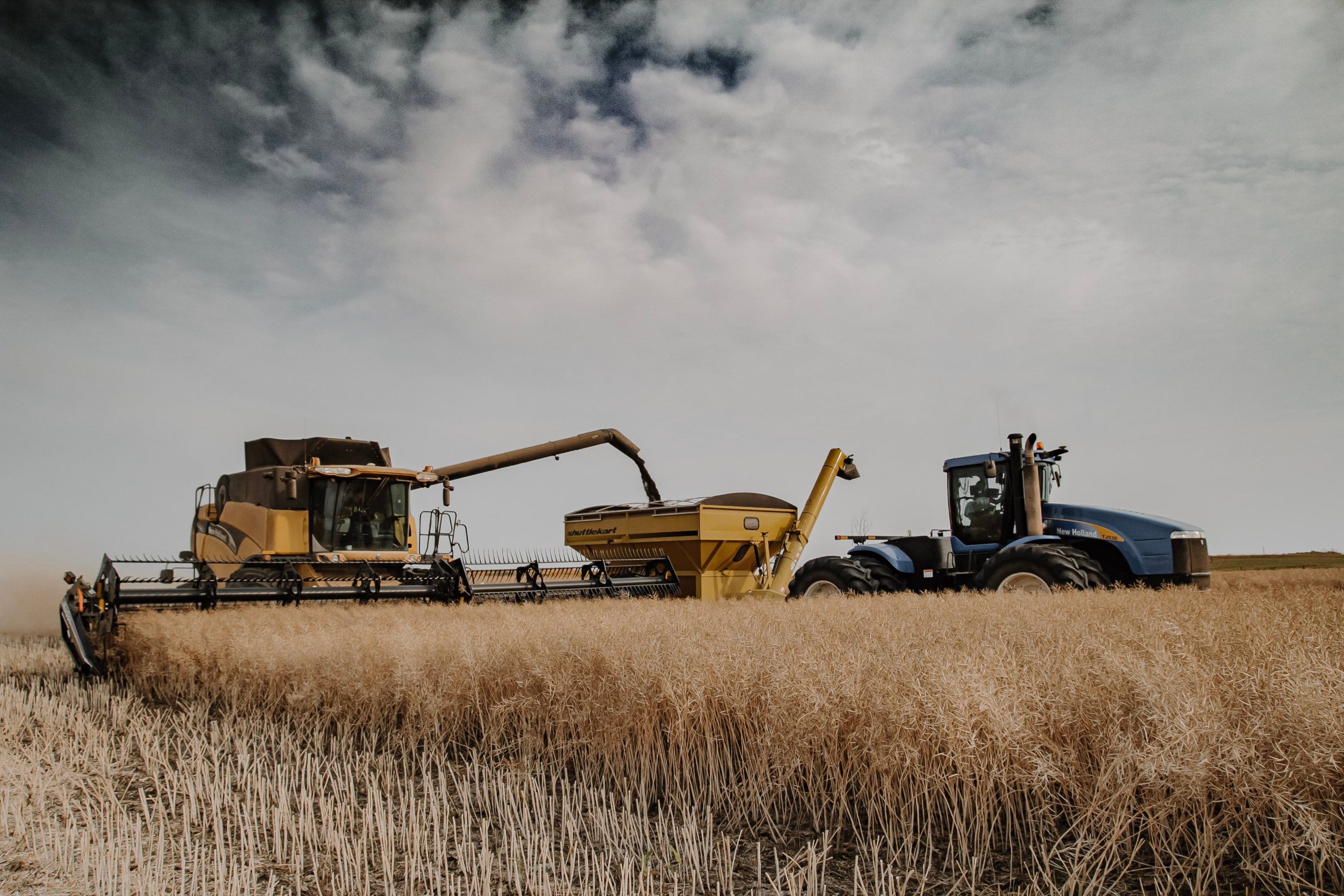 China's Canola Imports: A Post-Canada Relationship Landscape China's Canola Imports: A Post-Canada Relationship Landscape