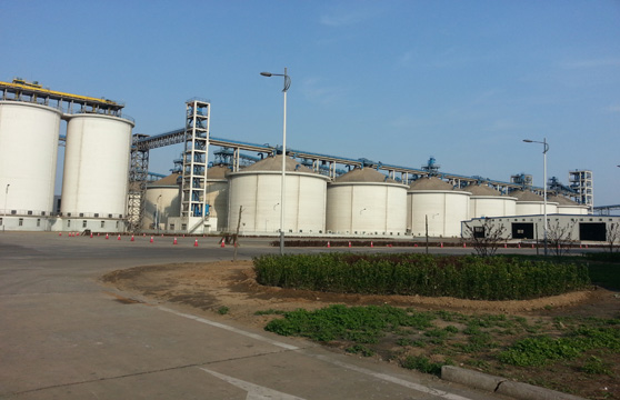 China's Soybean Market: Sinograin's Auction And The Supply Shortage China's Soybean Market: Sinograin's Auction And The Supply Shortage