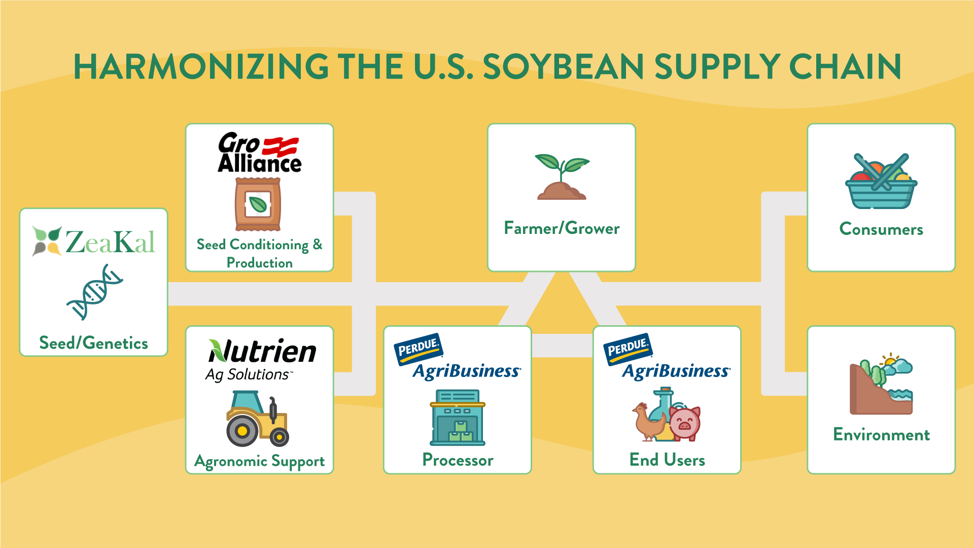 China's Soybean Supply Crisis: Sinograin's Auction Response China's Soybean Supply Crisis: Sinograin's Auction Response