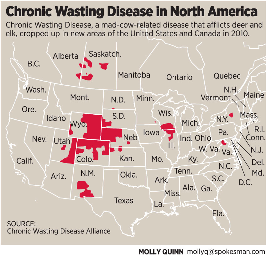 Chronic Wasting Disease (CWD) Detected In Jackson Hole Elk Feedground Chronic Wasting Disease (CWD) Detected In Jackson Hole Elk Feedground