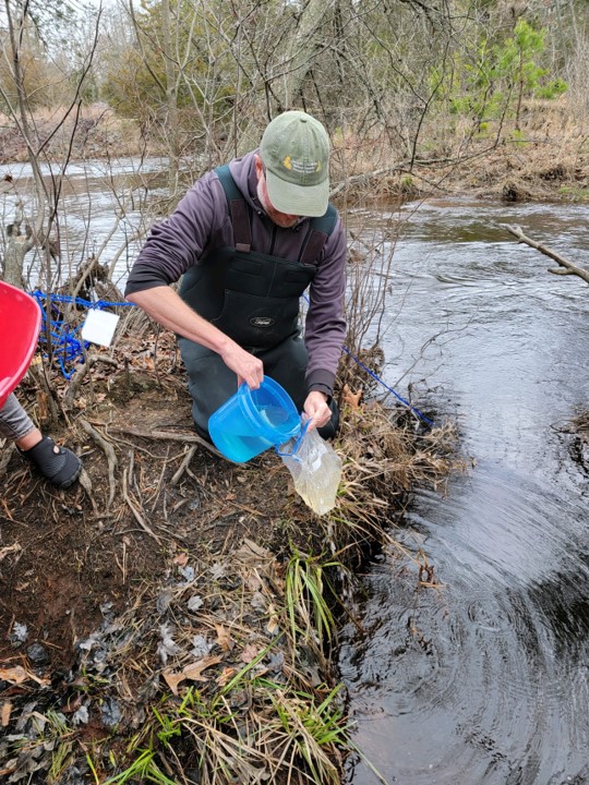 Citizen Science Project Investigates Whidbey Clams