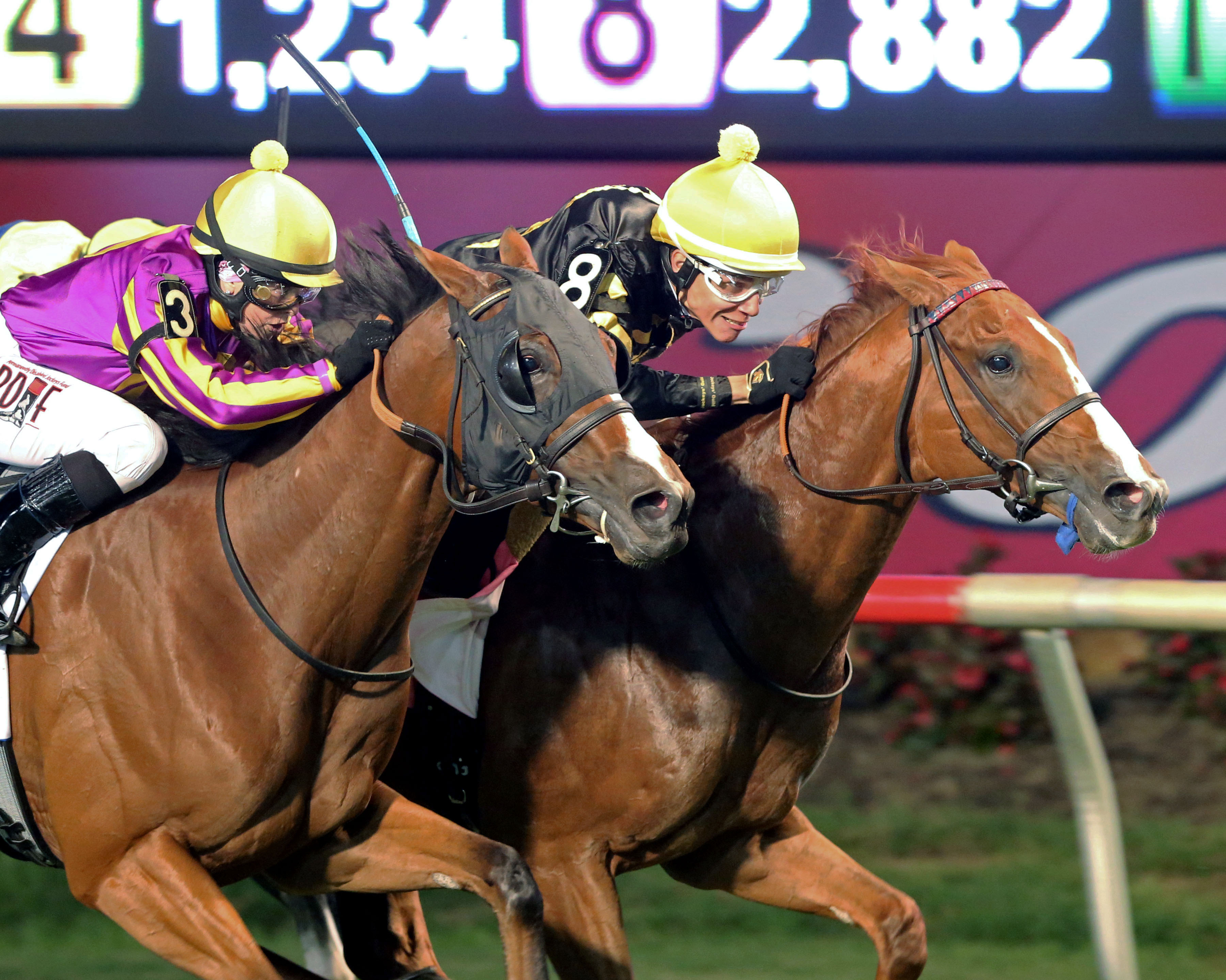 Colonial Downs To Host Virginia Derby: Stone's Big Reveal Colonial Downs To Host Virginia Derby: Stone's Big Reveal