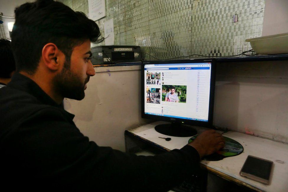 Concerns Rise Among Kashmir Cat Owners Following Viral Social Media Posts Concerns Rise Among Kashmir Cat Owners Following Viral Social Media Posts