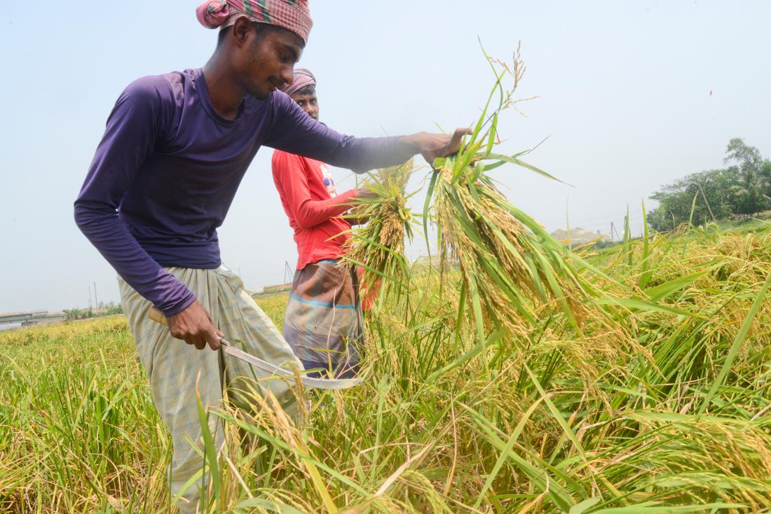 Concerns Rise: NRC Seeks Action Against Anti-Muslim Schemes In Bangladesh Concerns Rise: NRC Seeks Action Against Anti-Muslim Schemes In Bangladesh