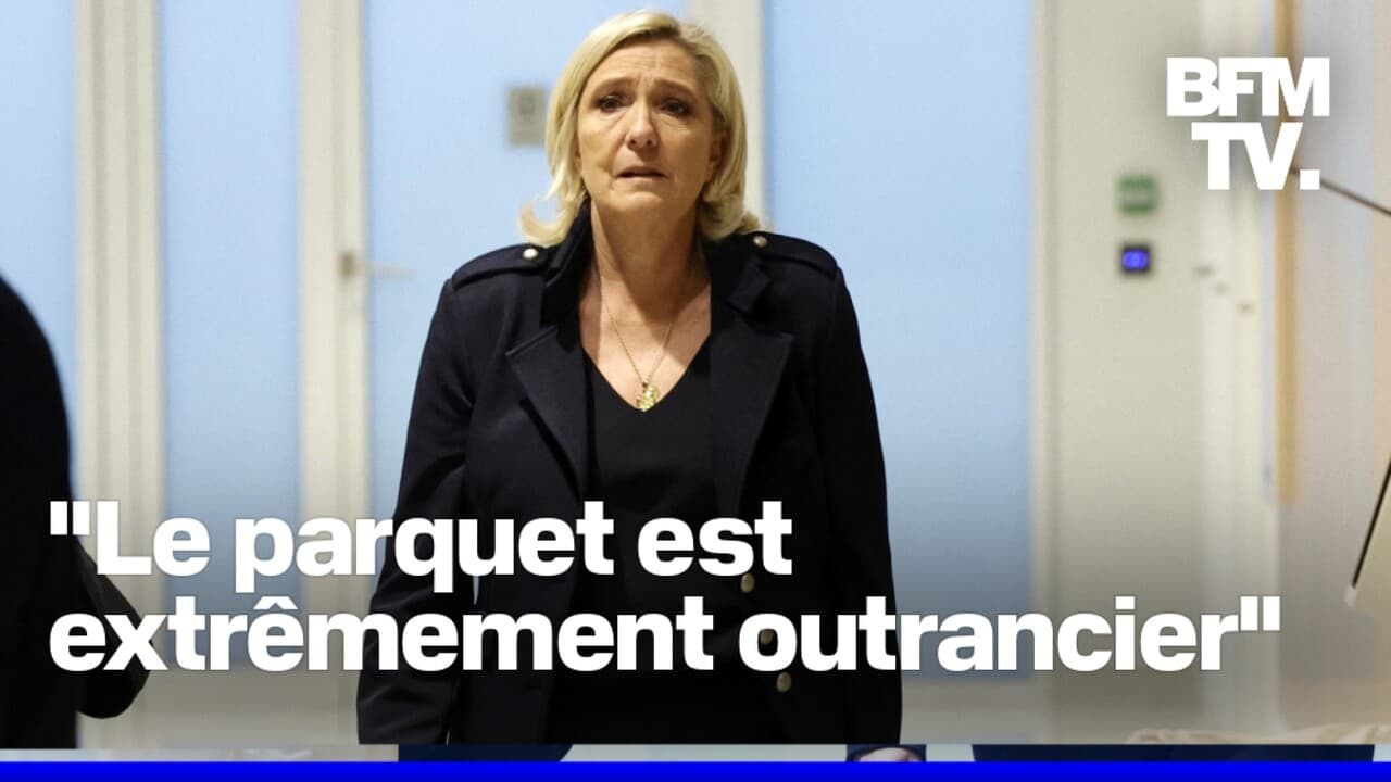 Condamnation Marine Le Pen:  Appel Contre Quatre Ans De Prison Et Inéligibilité Immédiate